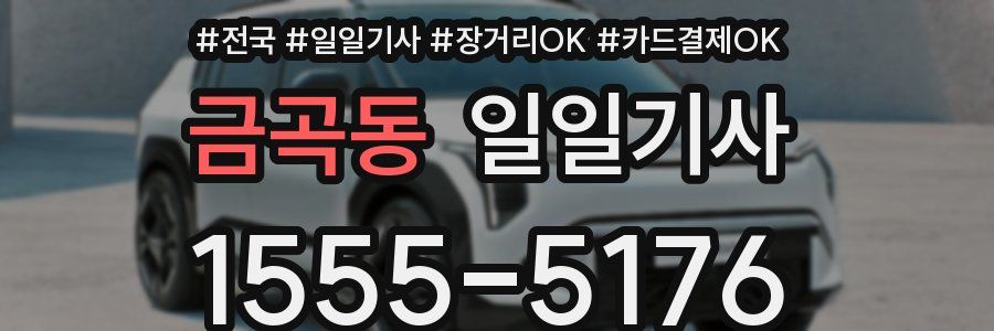 금곡동 일일기사