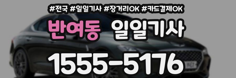 반여동 일일기사