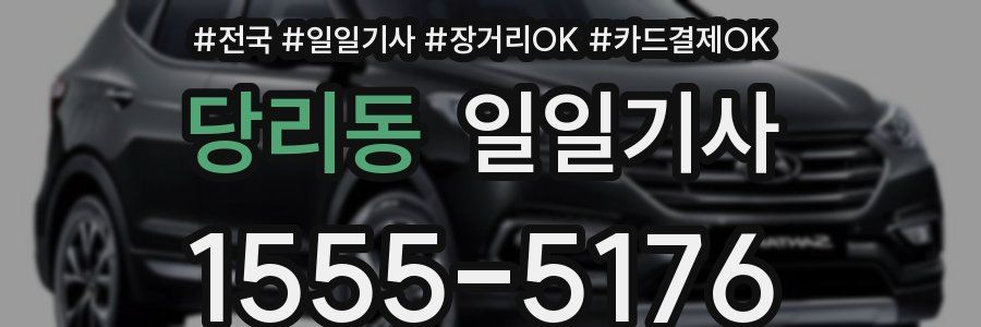 당리동 일일기사