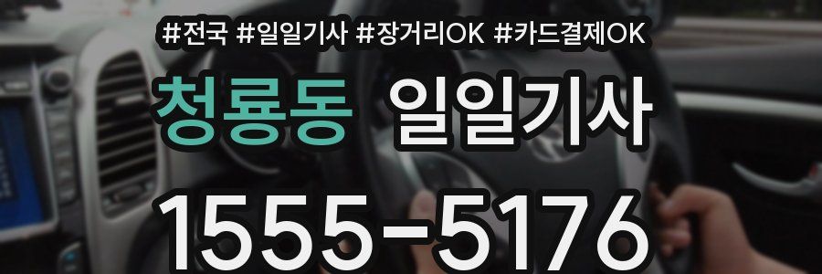 청룡동 일일기사