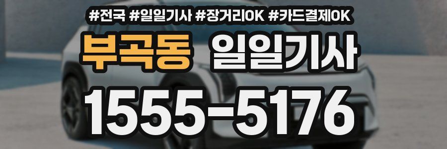 부곡동 일일기사