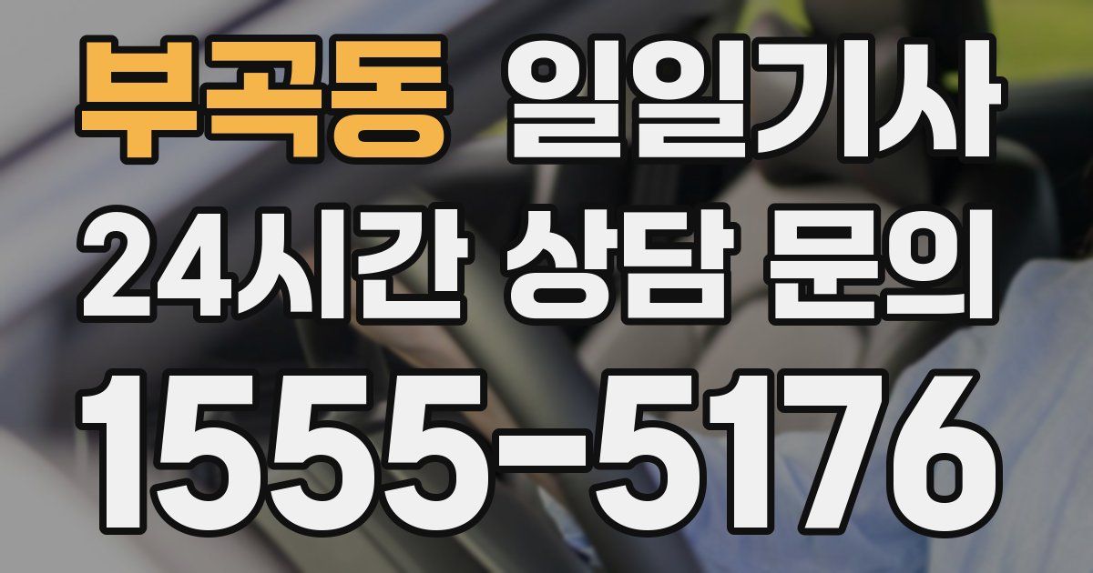 일일대리기사