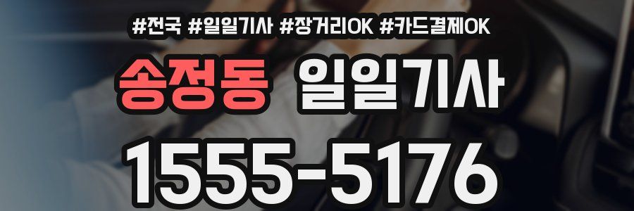 송정동 일일기사