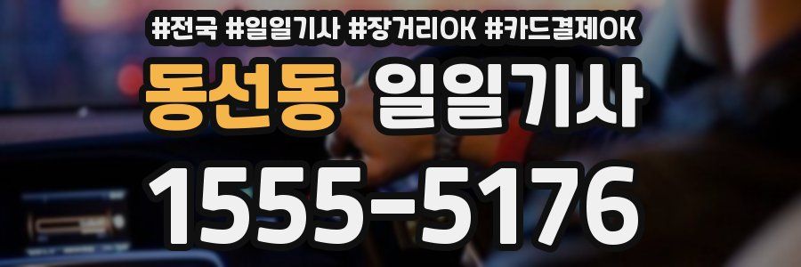 동선동 일일기사