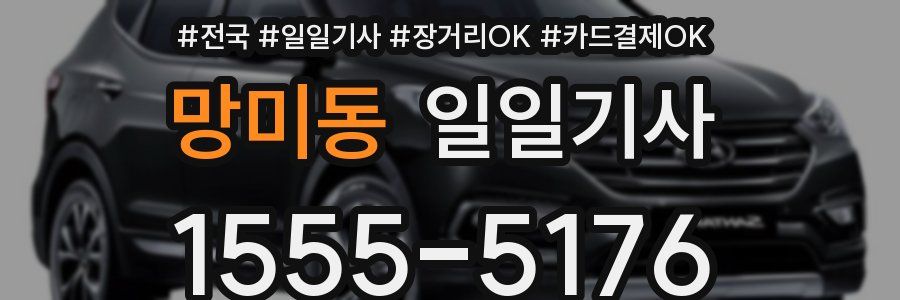 망미동 일일기사