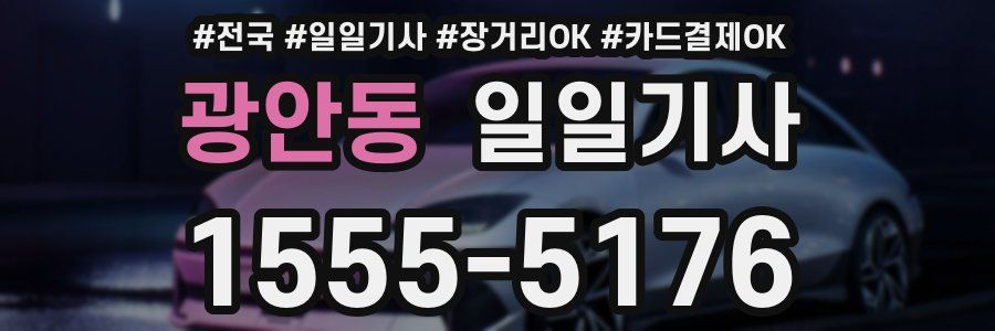 광안동 일일기사