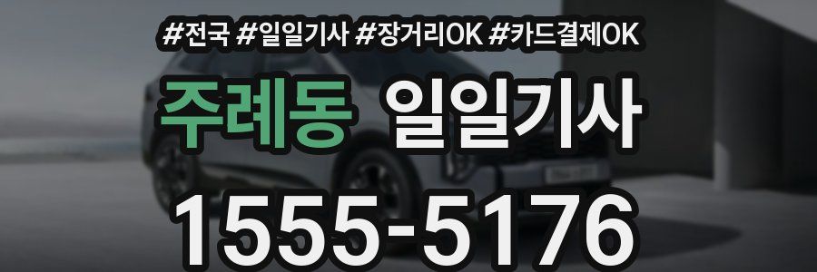 주례동 일일기사