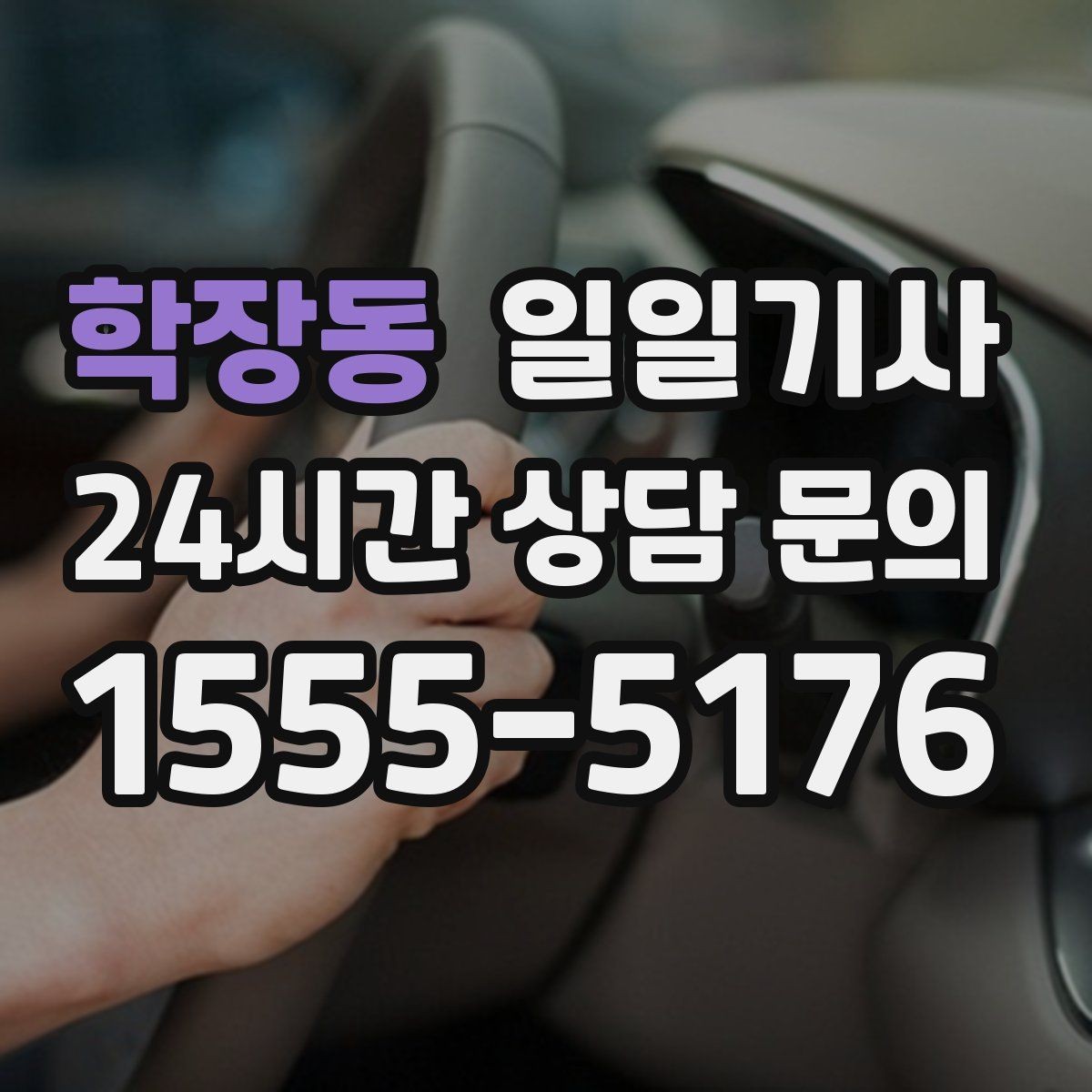 학장동 일일기사 초행 지역 안내 동행