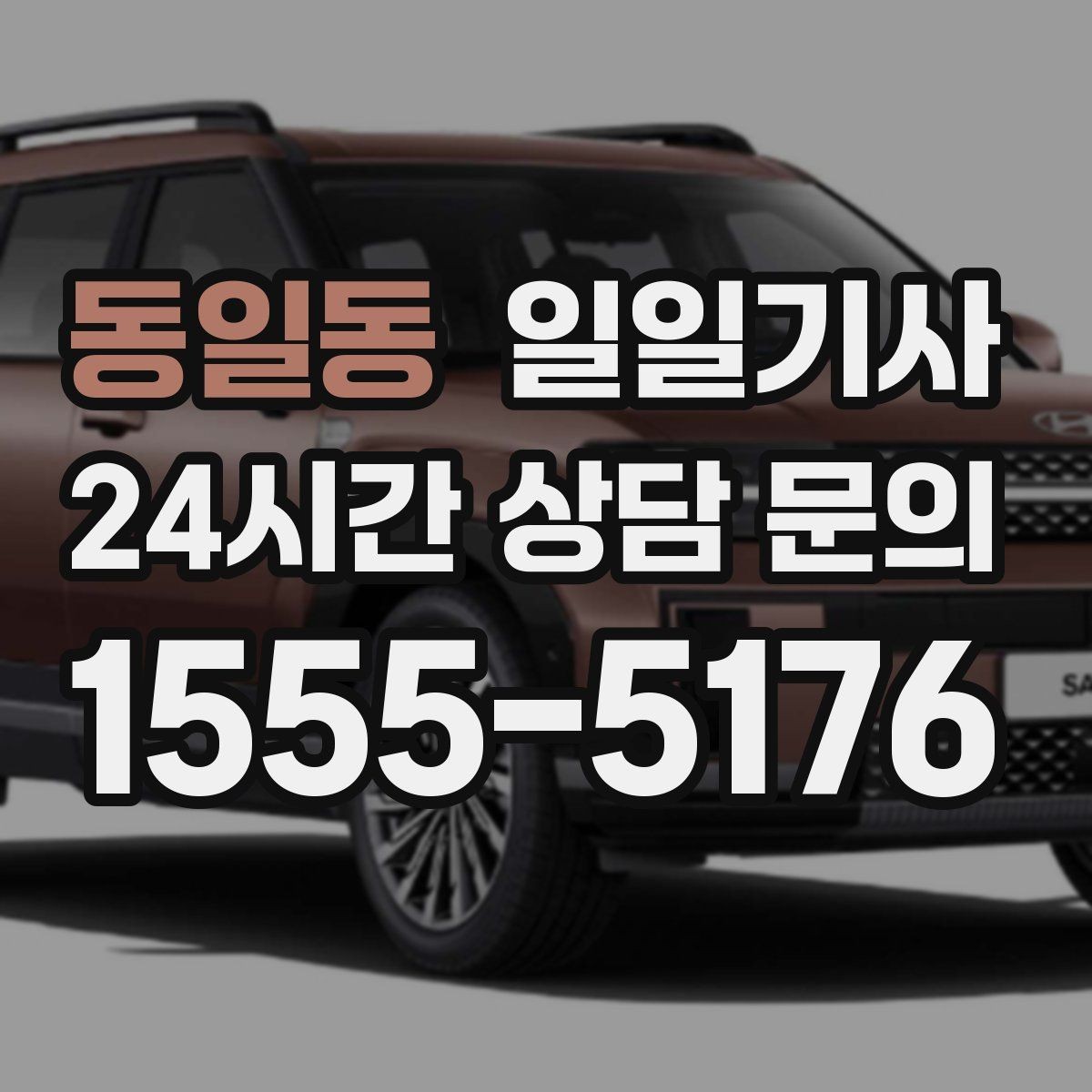 동일동 일일기사 드라이빙 레인지 경유