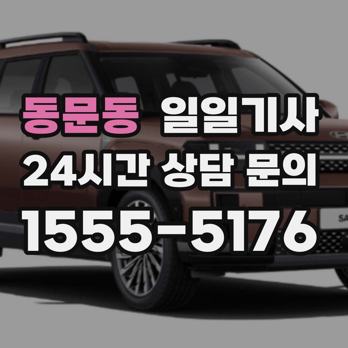 동문동 일일기사 수도권 다중 경유 전담