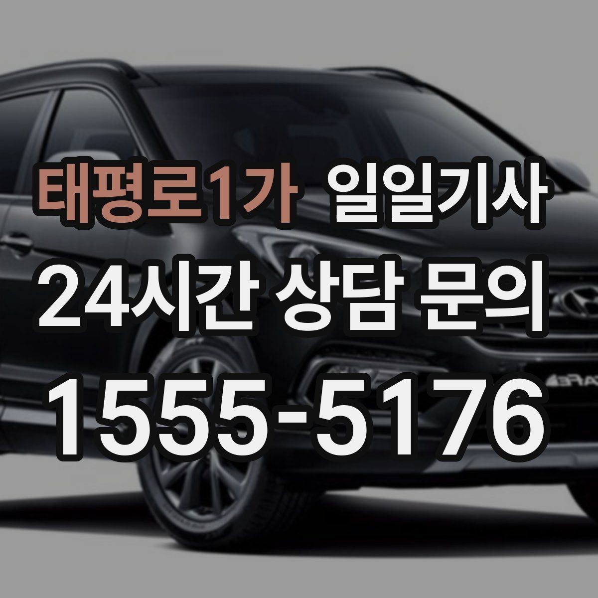 태평로1가 일일기사 예약 시간 정시에 도착해요