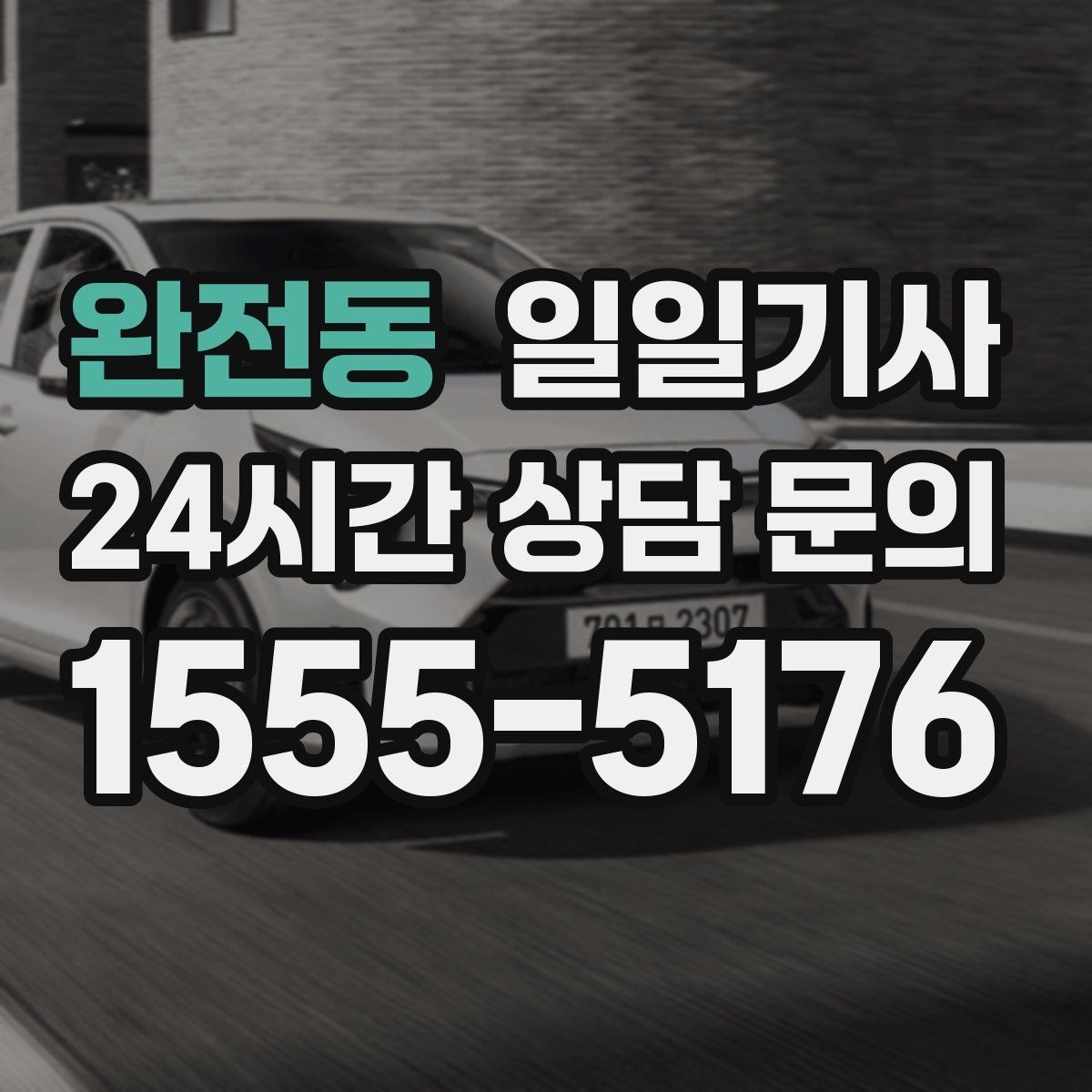 완전동 일일기사 반일 동행으로 오후가 한결 여유로운 날