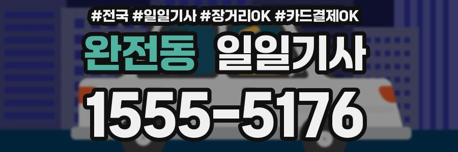 완전동 일일기사