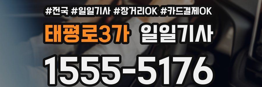 태평로3가 일일기사