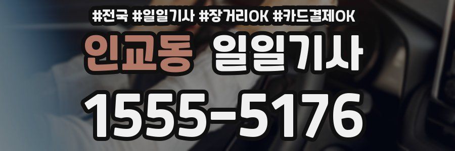 인교동 일일기사