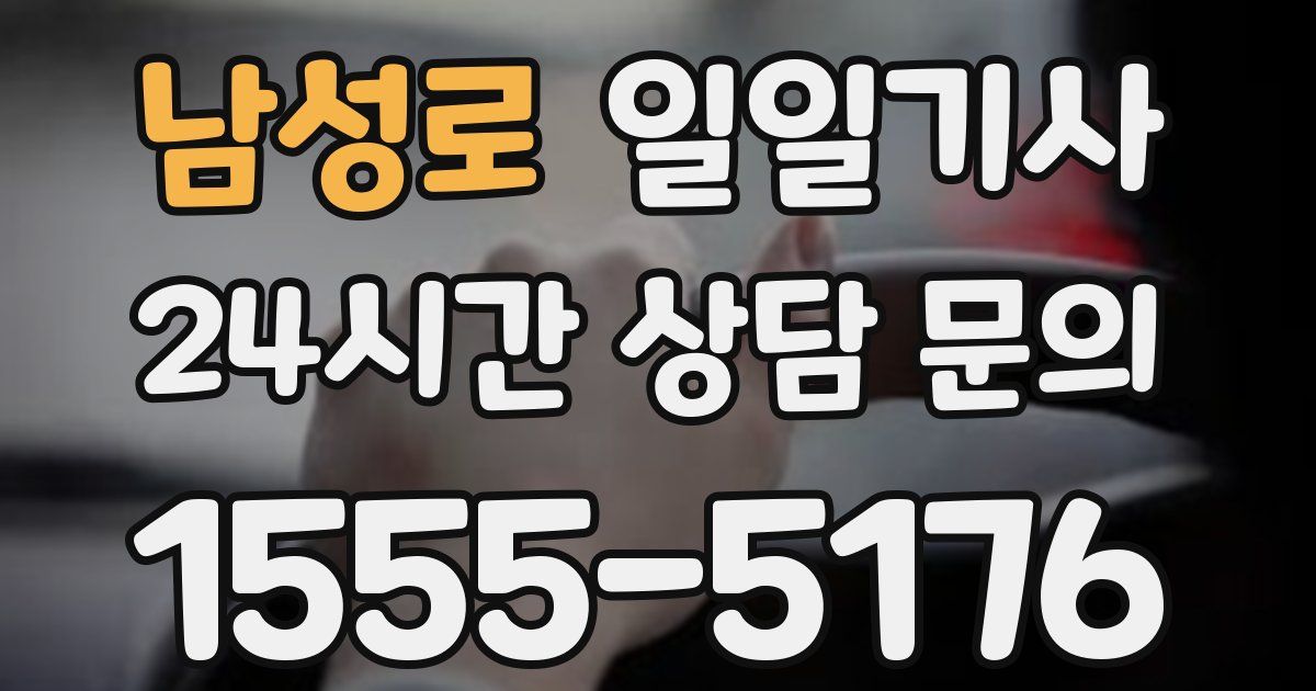 일일대리기사