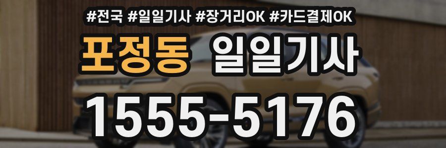 포정동 일일기사