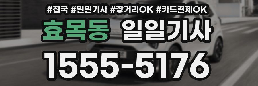 효목동 일일기사