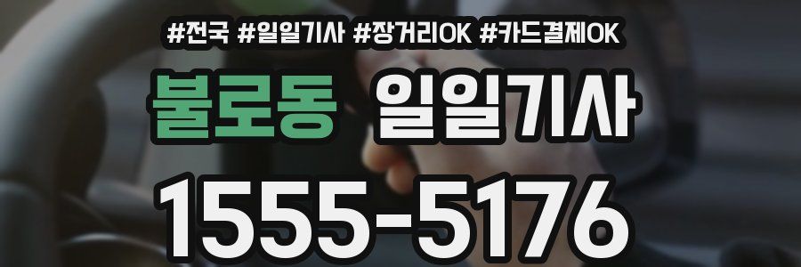 불로동 일일기사