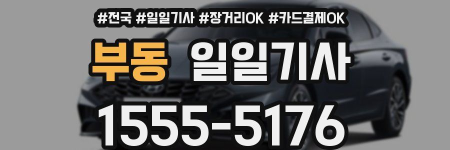 부동 일일기사