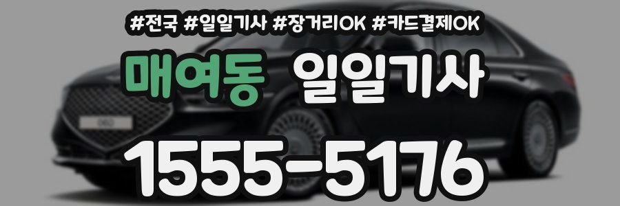 매여동 일일기사