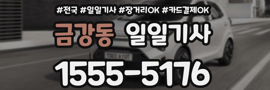 금강동 일일기사