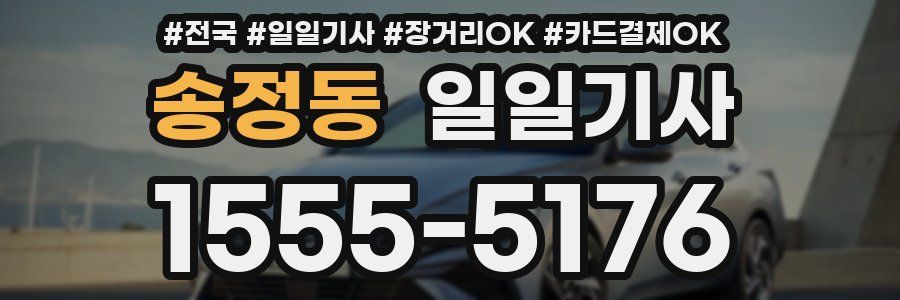 송정동 일일기사