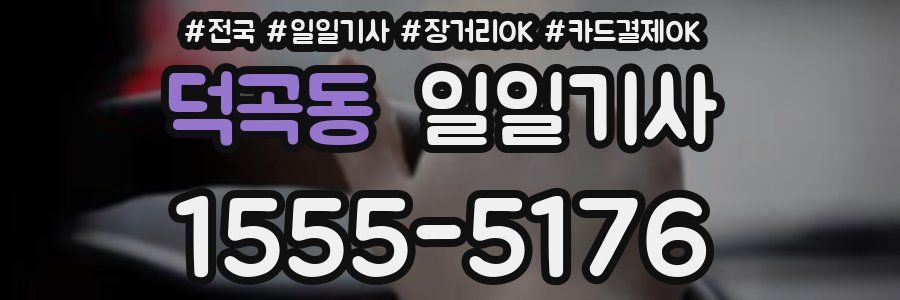 덕곡동 일일기사