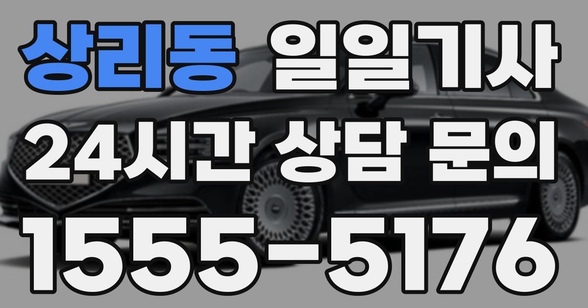 일일대리기사