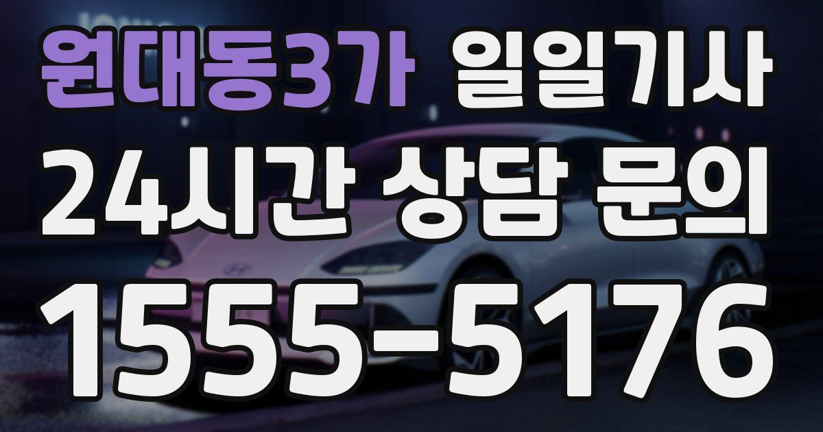 일일대리기사