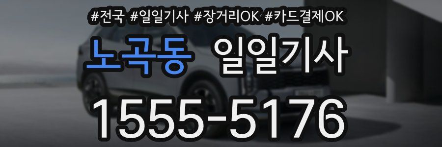 노곡동 일일기사