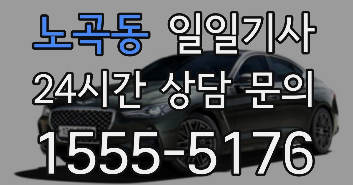 일일대리기사