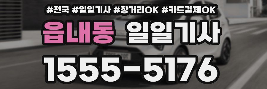 읍내동 일일기사