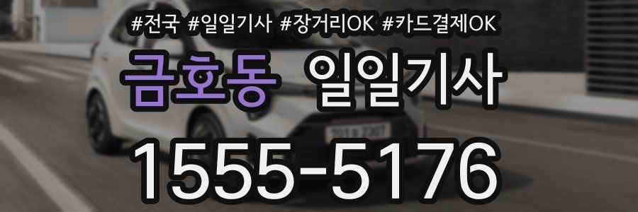 금호동 일일기사