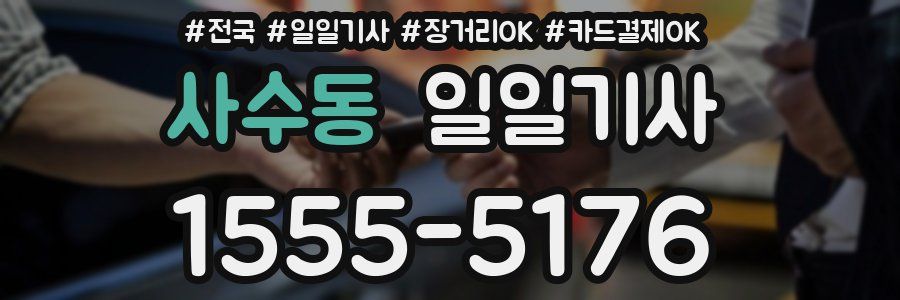 사수동 일일기사