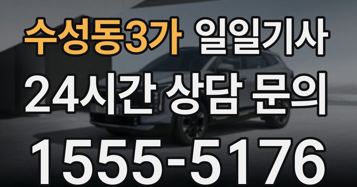 일일대리기사