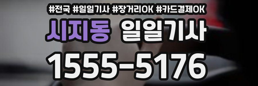 시지동 일일기사