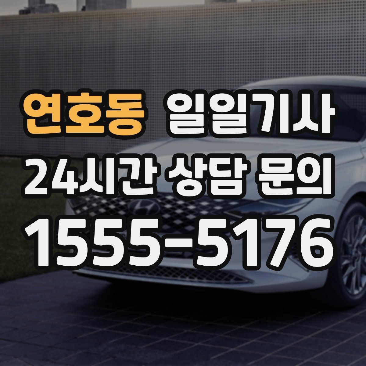 연호동 일일기사 안전벨트 기본 준수 철저