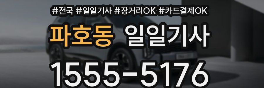 파호동 일일기사