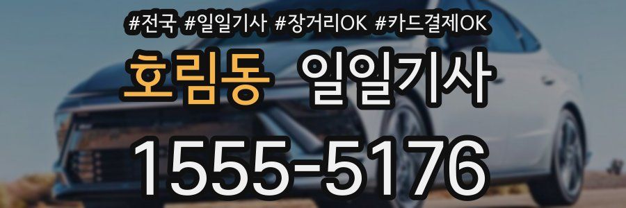 호림동 일일기사