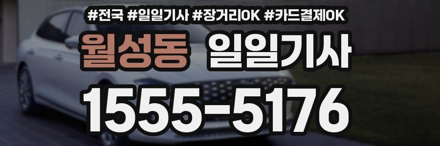 월성동 일일기사