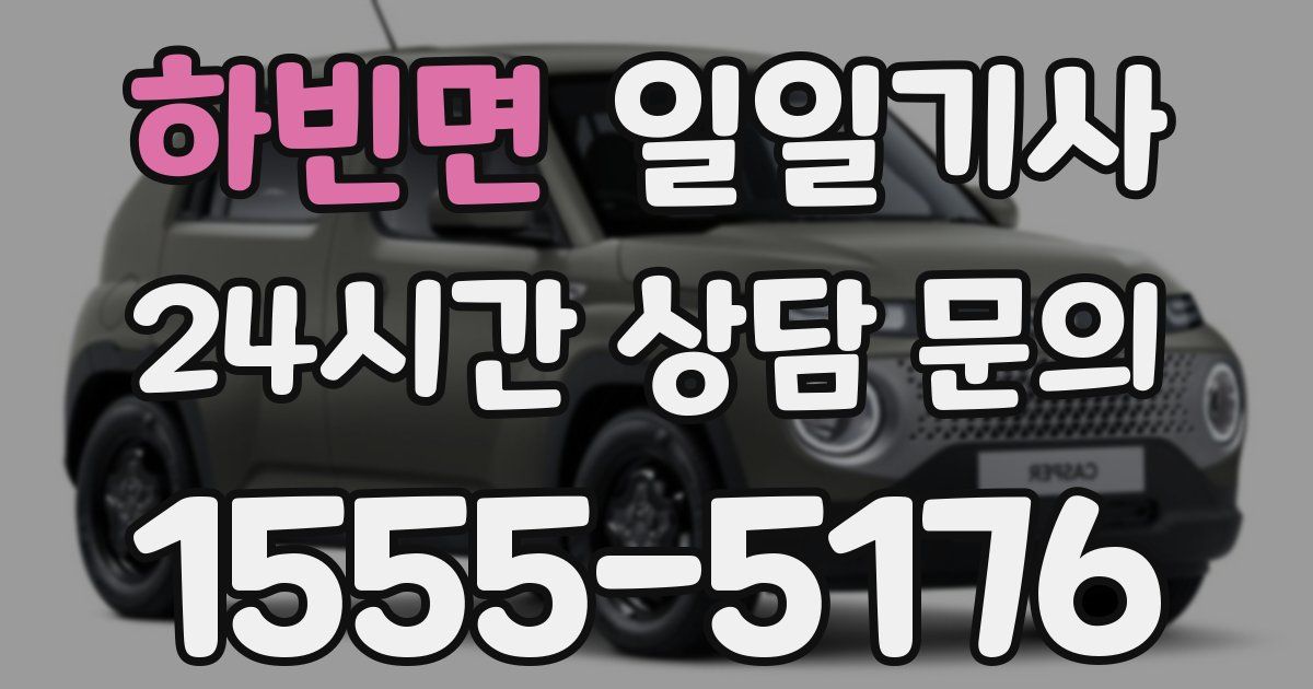 일일대리기사