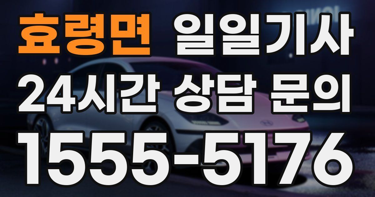 일일대리기사