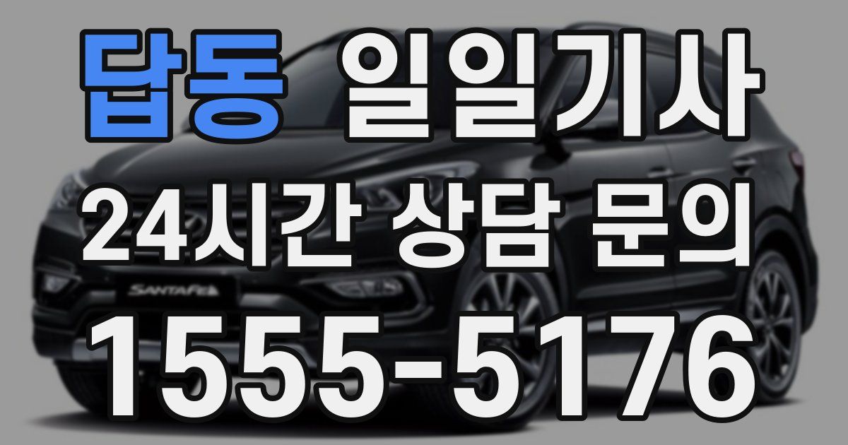 일일대리기사