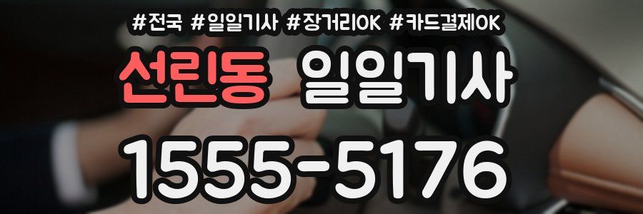 선린동 일일기사