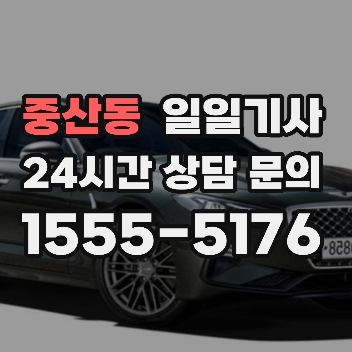 중산동 일일기사 하루 전담 동행 서비스