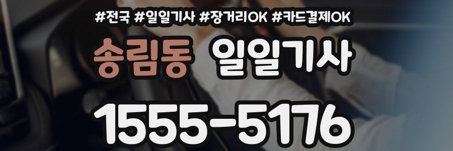 송림동 일일기사