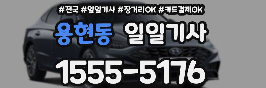 용현동 일일기사