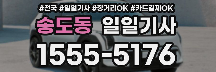 송도동 일일기사