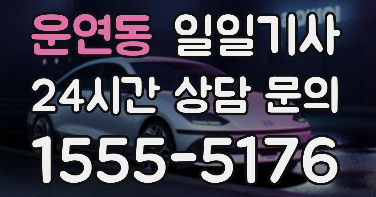 일일대리기사